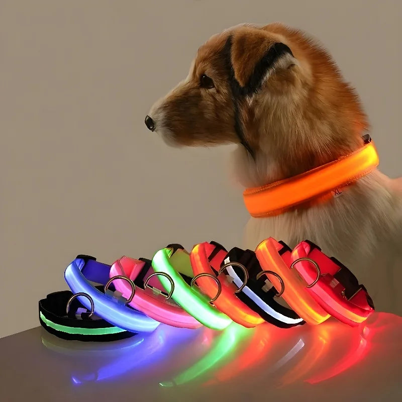 Coleira de Nylon para Cachorro. LED. Noite Segurança. Piscando  no Escuro.  Coleira Luminosa Fluorescente para Cachorros de Estimação